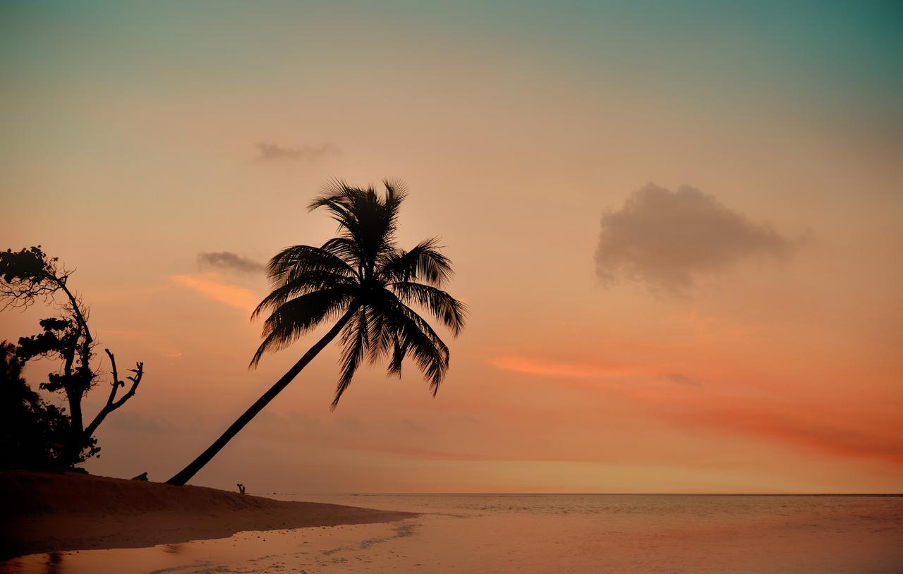 The Castaway Retreat Hotel Feridhoo Екстериор снимка